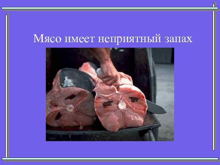 Мясо имеет неприятный запах 
