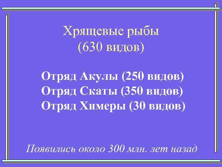 Хрящевые рыбы (630 видов) Отряд Акулы (250 видов) Отряд Скаты (350 видов) Отряд Химеры