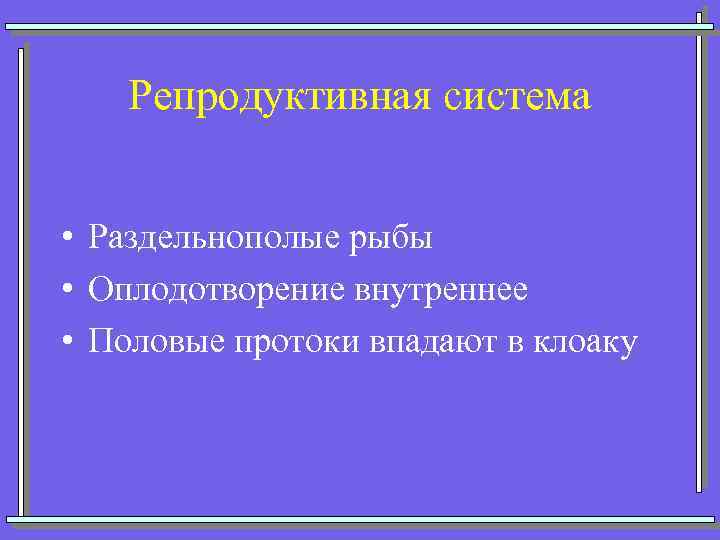 Репродуктивная система • Раздельнополые рыбы • Оплодотворение внутреннее • Половые протоки впадают в клоаку