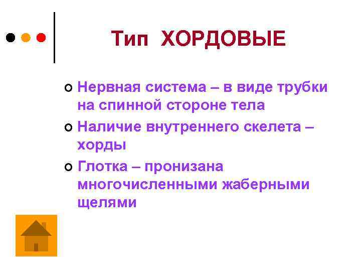 Тип ХОРДОВЫЕ Нервная система – в виде трубки на спинной стороне тела ¢ Наличие