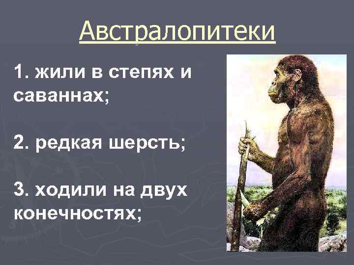 Австралопитеки 1. жили в степях и саваннах; 2. редкая шерсть; 3. ходили на двух