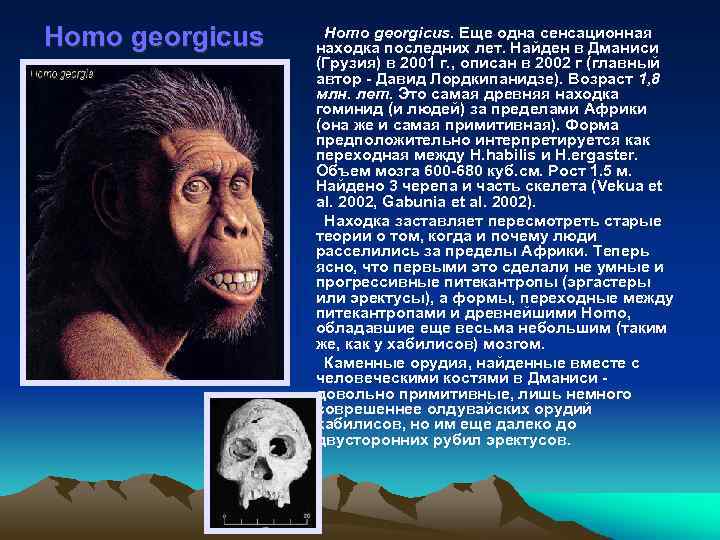 Homo georgicus. Еще одна сенсационная находка последних лет. Найден в Дманиси (Грузия) в 2001