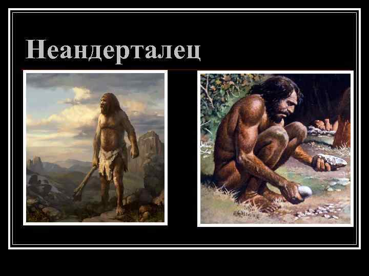 Неандерталец 