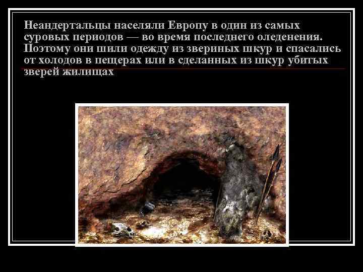 Неандертальцы населяли Европу в один из самых суровых периодов — во время последнего оледенения.