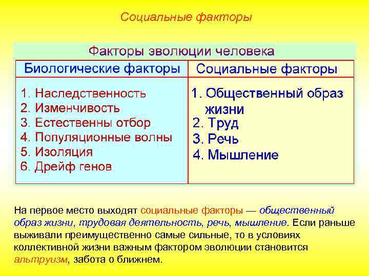 Социальные факторы На первое место выходят социальные факторы — общественный образ жизни, трудовая деятельность,