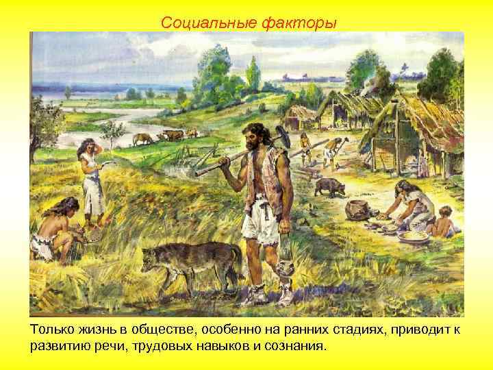 Социальные факторы Только жизнь в обществе, особенно на ранних стадиях, приводит к развитию речи,