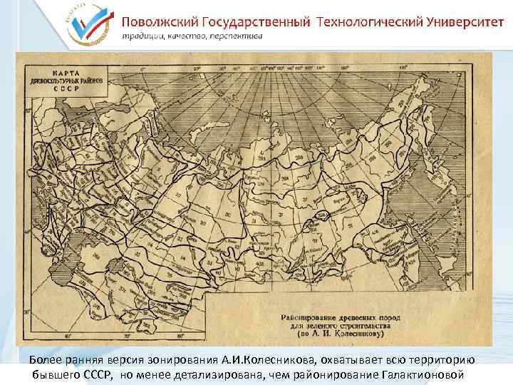 Курсовая работа: Культ деревьев у древних славян