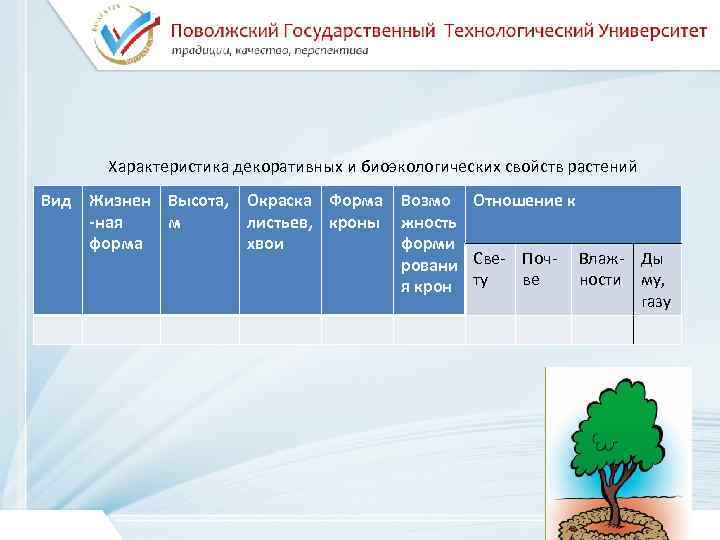 Курсовая работа по теме Декоративный питомник г. Сердобска Пензенской области