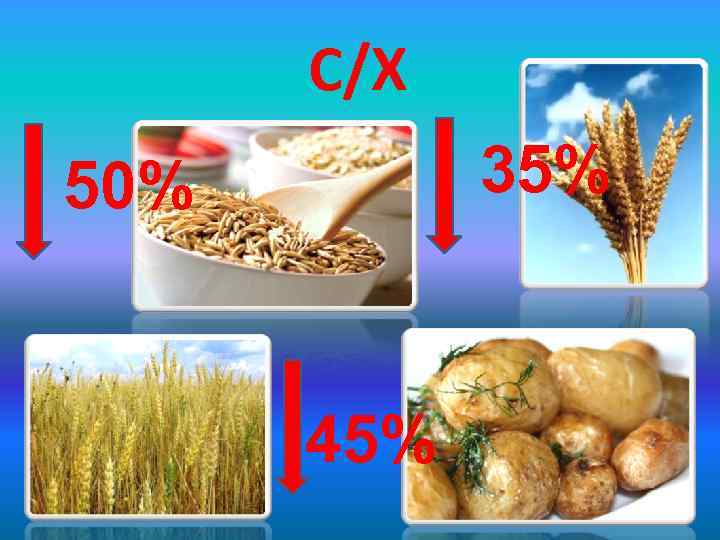 С/Х 35% 50% 45% 