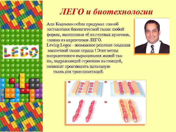 ЛЕГО и биотехнологии Али Кодемхоссейни придумал способ составления биологической ткани любой формы, вылепливая её