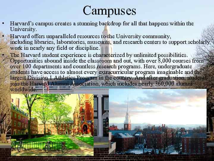 Campuses • Harvard’s campus creates a stunning backdrop for all that happens within the