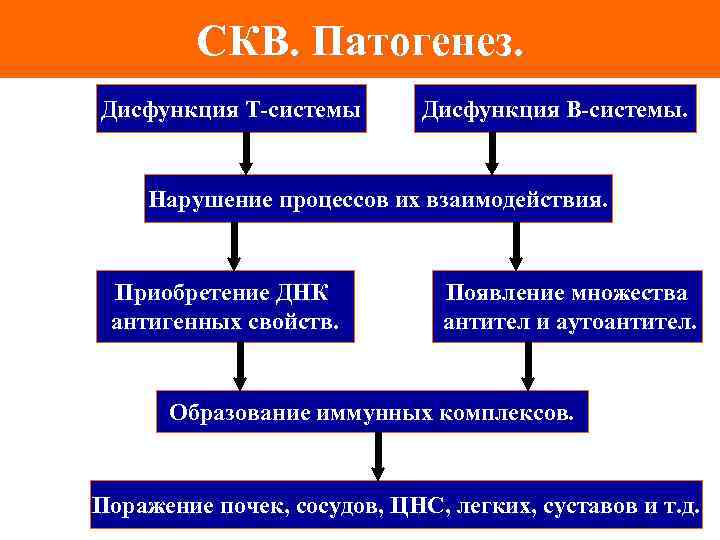 Патогенез кратко и понятно. Системная красная волчанка патогенез. Патогенез при системной красной волчанке. Патогенез красной волчанки схема. Системная красная волчанка у детей патогенез.