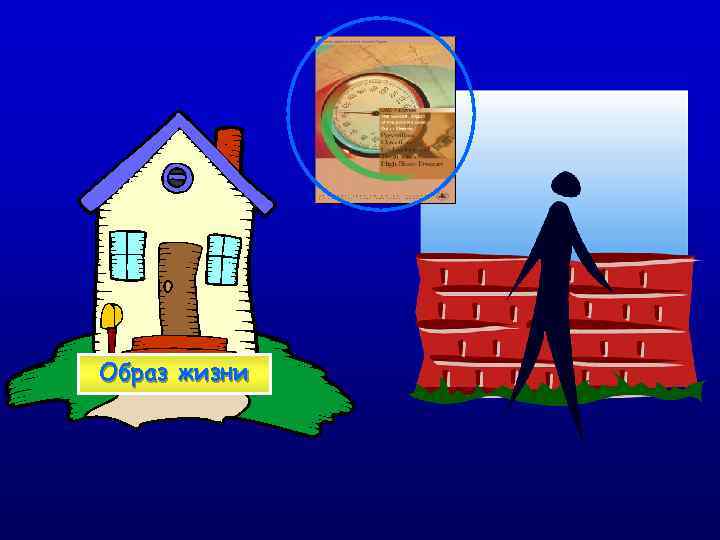 Образ жизни 