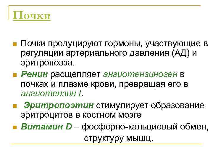 Почки n n Почки продуцируют гормоны, участвующие в регуляции артериального давления (АД) и эритропоэза.