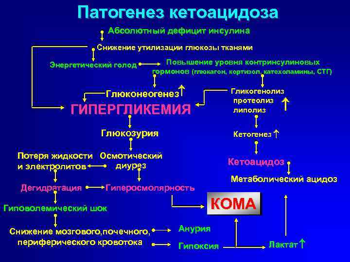 Патогенез кетоацидоза Абсолютный дефицит инсулина Снижение утилизации глюкозы тканями Повышение уровня контринсулиновых гормонов (глюкагон,