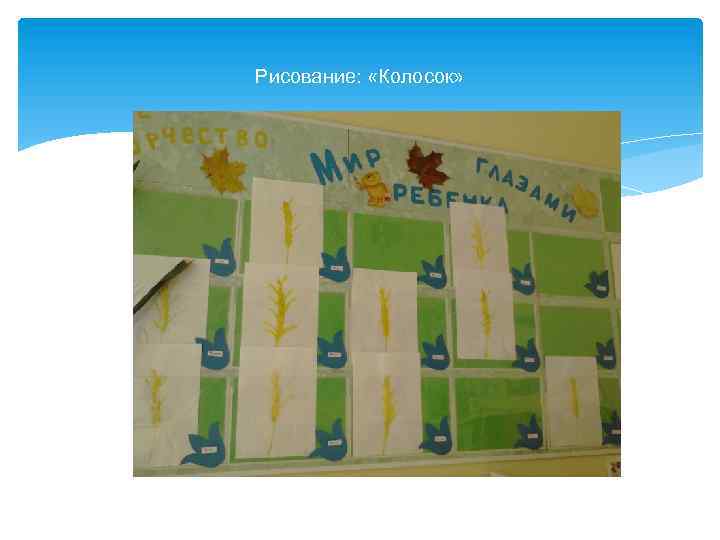 Рисование: «Колосок» 