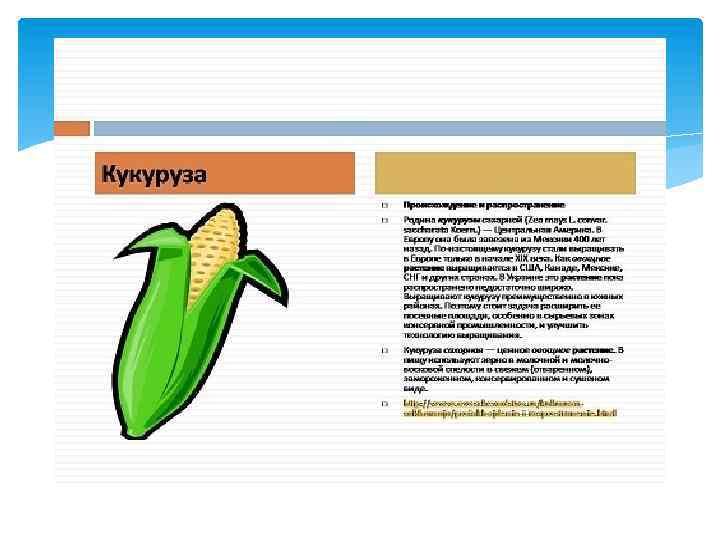 Проект откуда хлеб пришел старшая группа