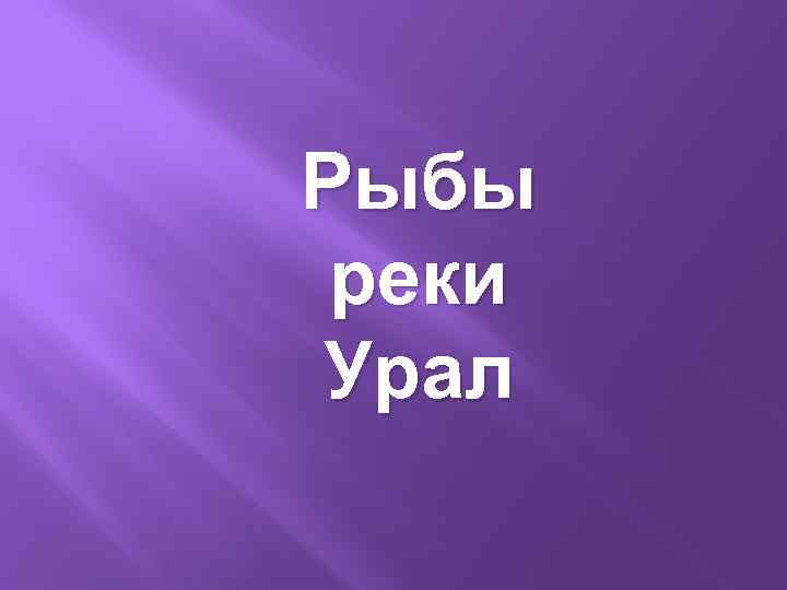 Рыбы реки Урал 