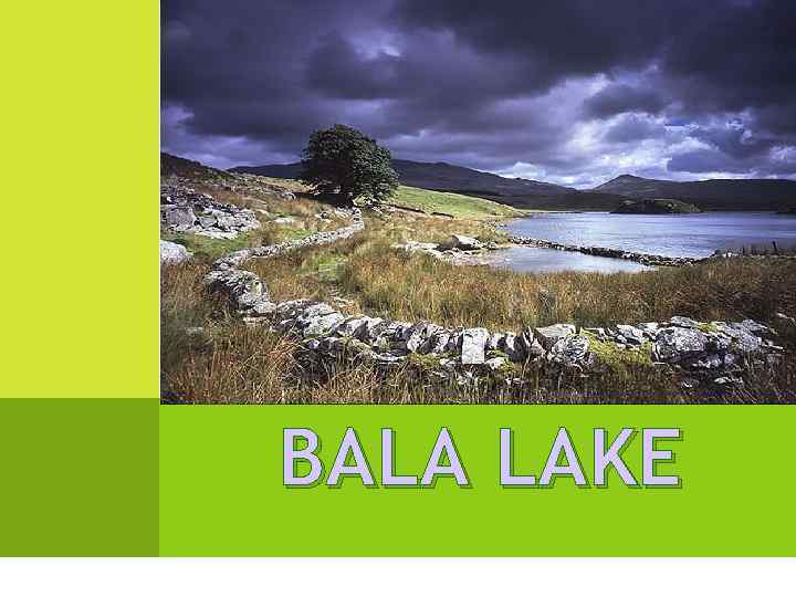 BALA LAKE 
