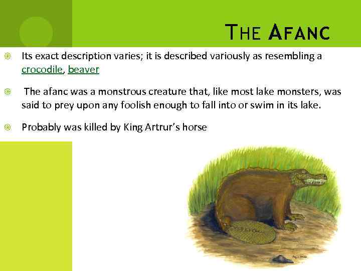 T HE A FANC Its exact description varies; it is described variously as resembling