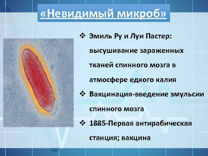  «Невидимый микроб» v Эмиль Ру и Луи Пастер: высушивание зараженных тканей спинного мозга