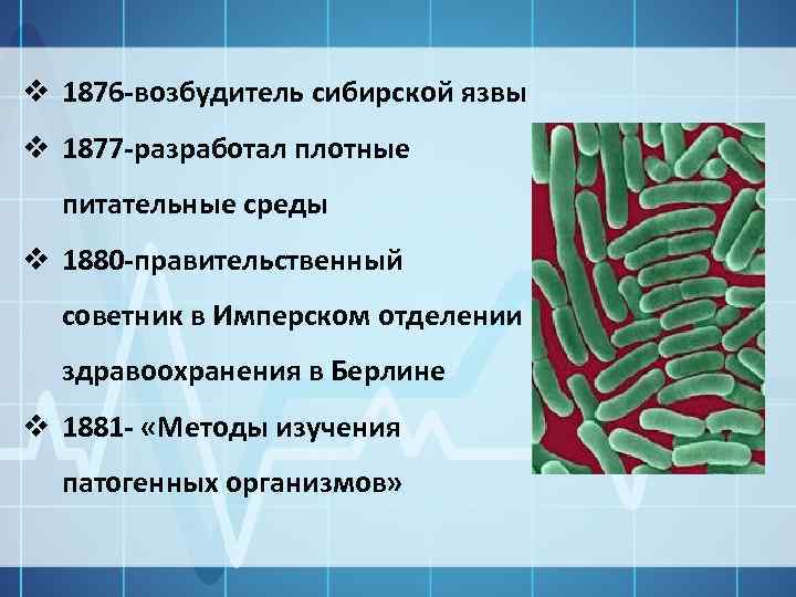 v 1876 -возбудитель сибирской язвы v 1877 -разработал плотные питательные среды v 1880 -правительственный