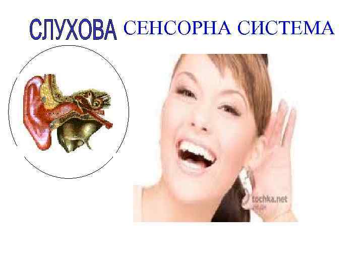 СЕНСОРНА СИСТЕМА 