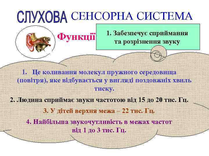 СЕНСОРНА СИСТЕМА Функції 1. Забезпечує сприймання та розрізнення звуку 1. Це коливання молекул пружного