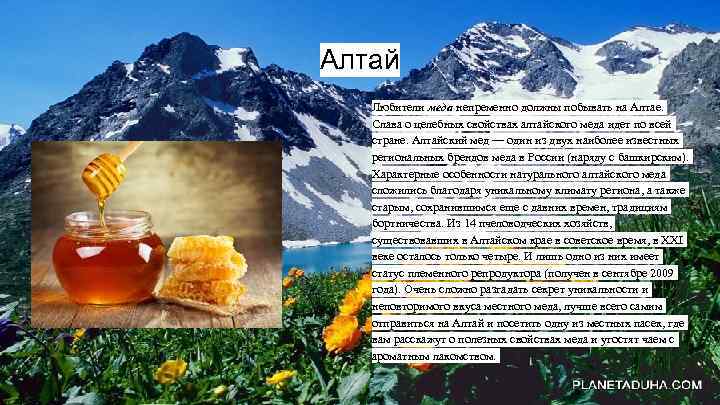 Алтай Любители меда непременно должны побывать на Алтае. Слава о целебных свойствах алтайского меда