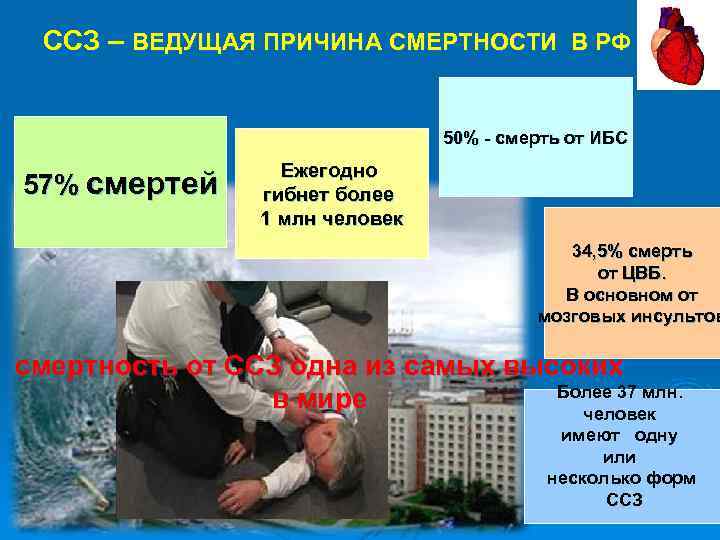 ССЗ – ВЕДУЩАЯ ПРИЧИНА СМЕРТНОСТИ В РФ 50% - смерть от ИБС 57% смертей