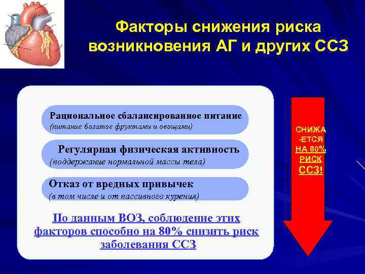 Факторы снижения риска возникновения АГ и других ССЗ Рациональное сбалансированное питание (питание богатое фруктами