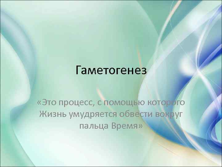 Гаметогенез «Это процесс, с помощью которого Жизнь умудряется обвести вокруг пальца Время» 