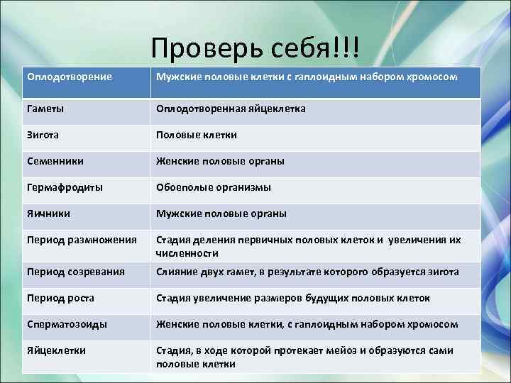 Проверь себя!!! Оплодотворение Мужские половые клетки с гаплоидным набором хромосом Гаметы Оплодотворенная яйцеклетка Зигота