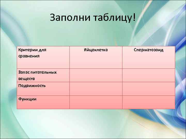 Заполни таблицу! Критерии для сравнения Запас питательных веществ Подвижность Функции Яйцеклетка Сперматозоид 