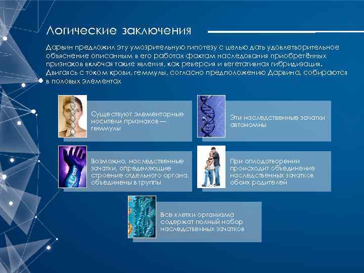 Логические заключения Дарвин предложил эту умозрительную гипотезу с целью дать удовлетворительное объяснение описанным в