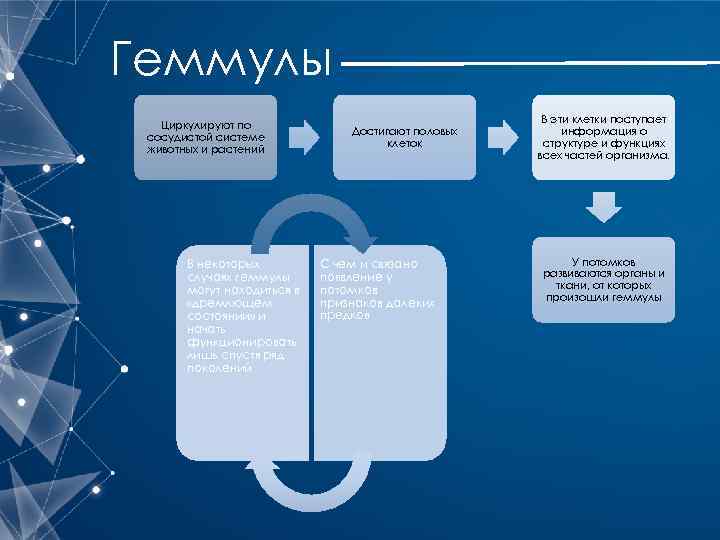 Геммулы Циркулируют по сосудистой системе животных и растений В некоторых случаях геммулы могут находиться