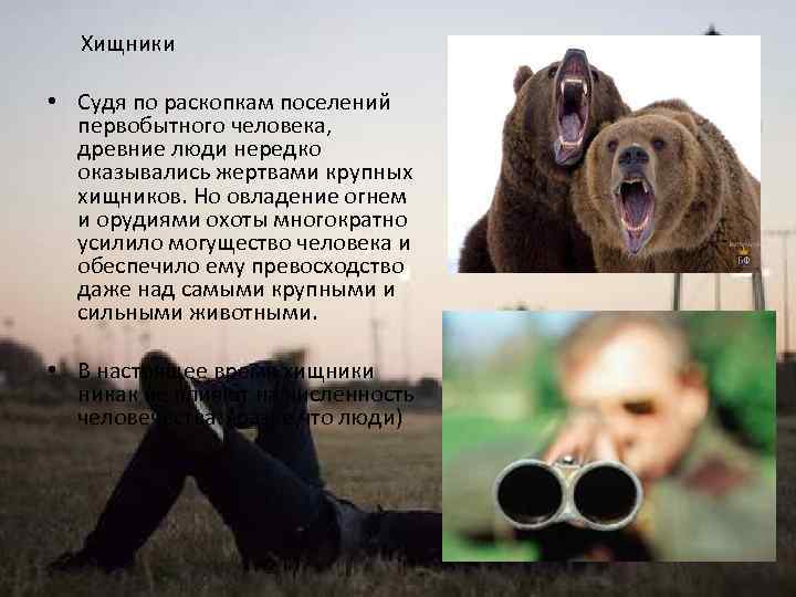 Хищники • Судя по раскопкам поселений первобытного человека, древние люди нередко оказывались жертвами крупных