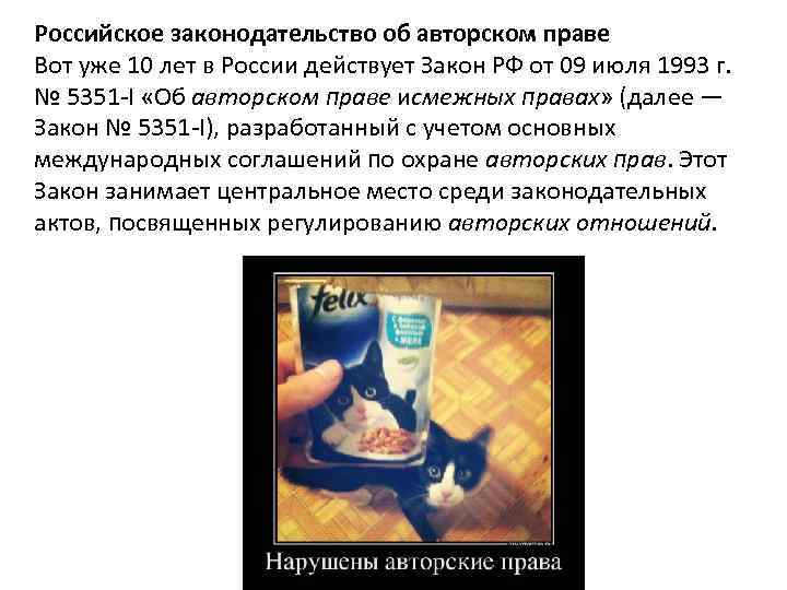 Российское законодательство об авторском праве Вот уже 10 лет в России действует Закон РФ