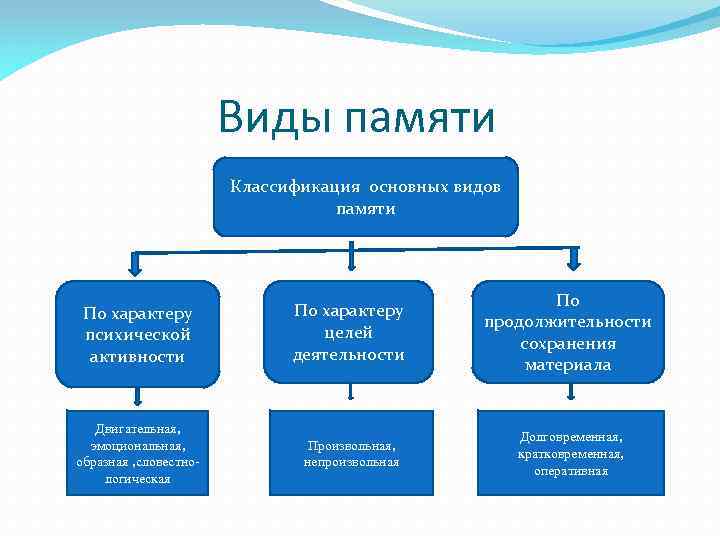 Виды памяти Классификация основных видов памяти По характеру психической активности По характеру целей деятельности