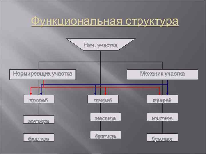 Функциональная структура 