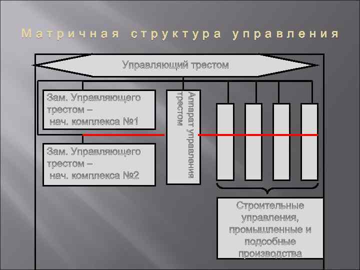 Матричная структура управления 