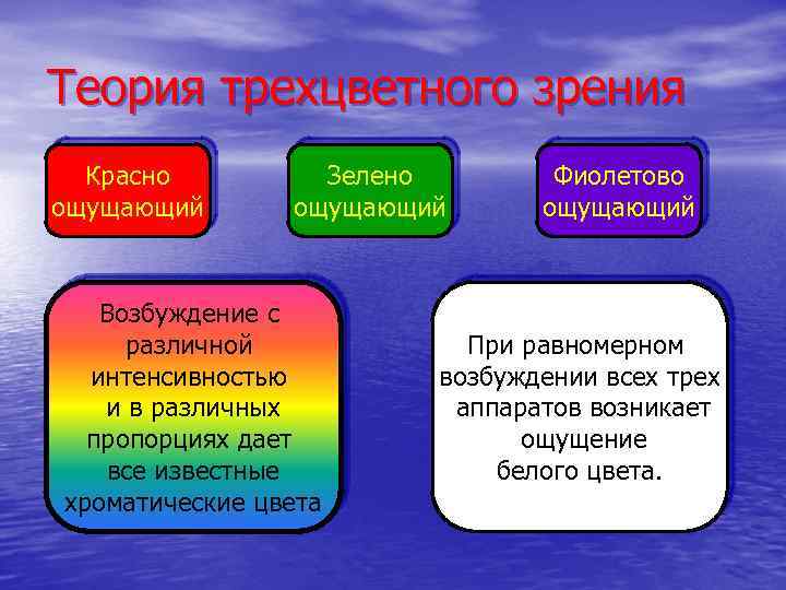 Теория трехцветного зрения Красно ощущающий Зелено ощущающий Возбуждение с различной интенсивностью и в различных