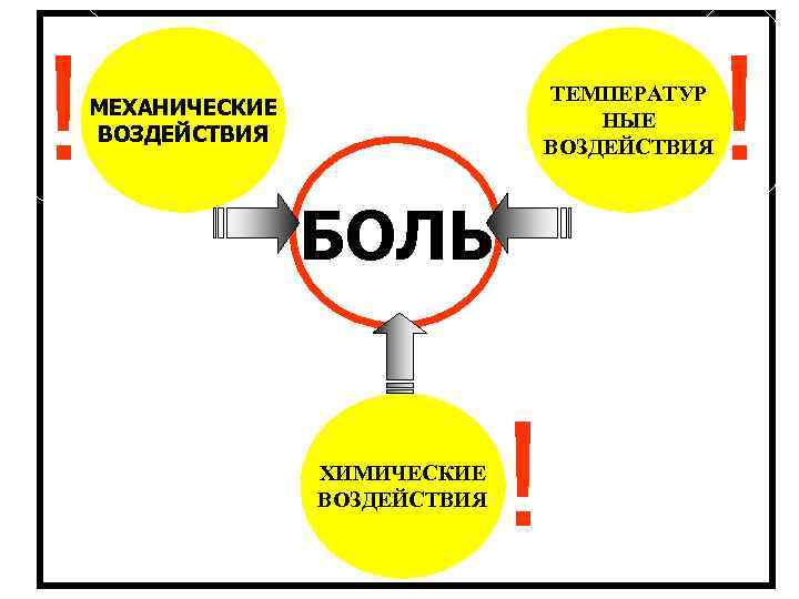 ! ТЕМПЕРАТУР НЫЕ ВОЗДЕЙСТВИЯ МЕХАНИЧЕСКИЕ ВОЗДЕЙСТВИЯ БОЛЬ ХИМИЧЕСКИЕ ВОЗДЕЙСТВИЯ ! ! 