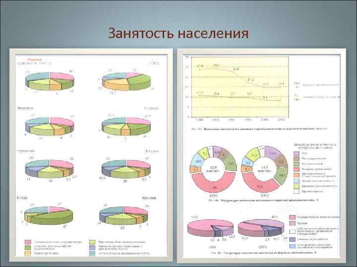 Занятость населения 