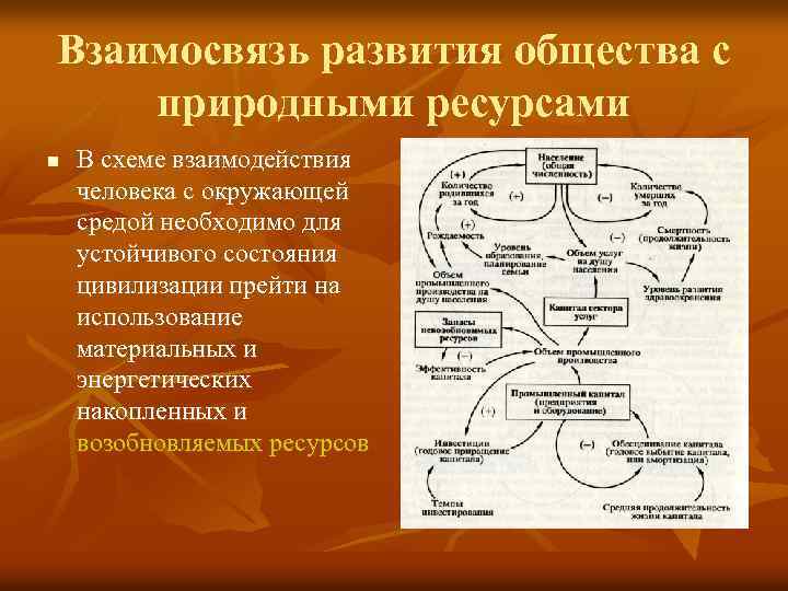 Взаимосвязь развития общества с природными ресурсами n В схеме взаимодействия человека с окружающей средой