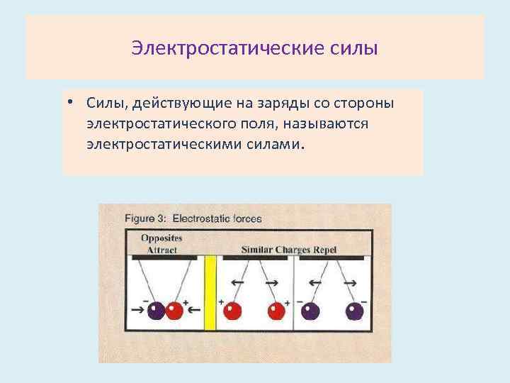 Однородным электростатическим полем называется