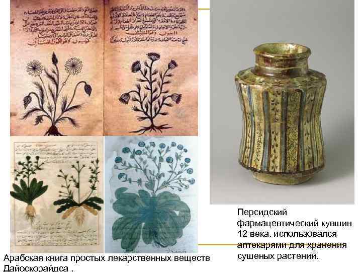 Арабская книга простых лекарственных веществ Дайоскорайдса. Персидский фармацевтический кувшин 12 века. использовался аптекарями для