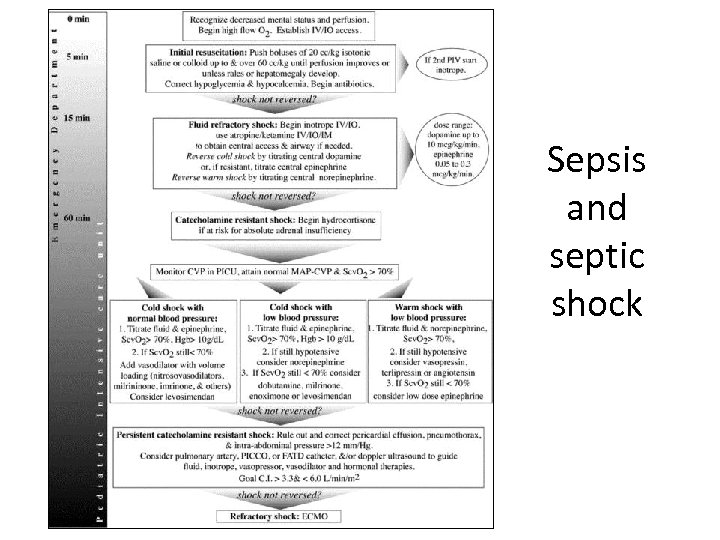 Sepsis and septic shock 