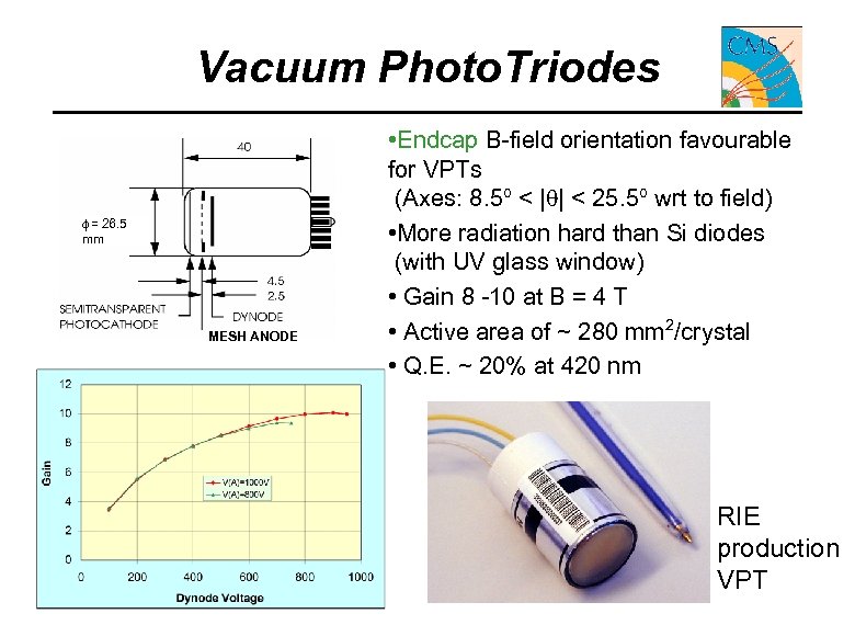 Vacuum Photo. Triodes = 26. 5 mm MESH ANODE • Endcap B-field orientation favourable