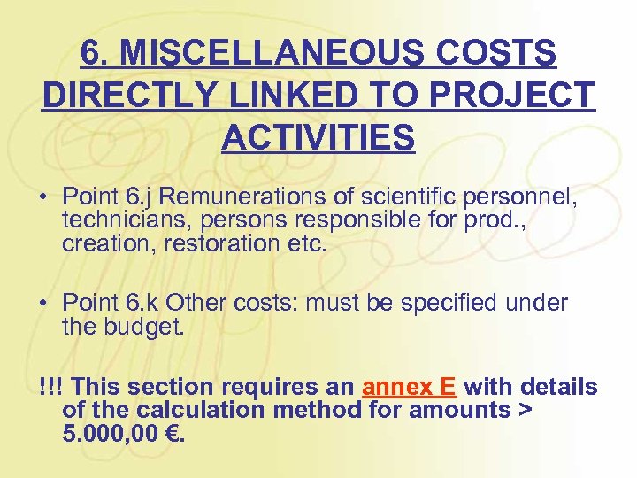 6. MISCELLANEOUS COSTS DIRECTLY LINKED TO PROJECT ACTIVITIES • Point 6. j Remunerations of